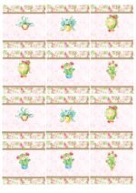 Kit Digital Balinhas Cactos - v1 - Imagem 2